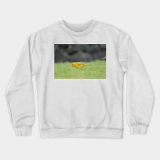 Saffron Finch Crewneck Sweatshirt